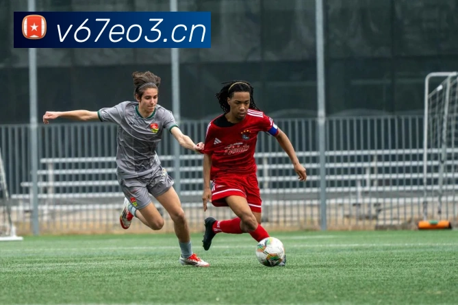 星空入口网页版登录发展历程